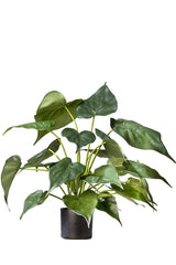 Livraison plante Alocasia - Plante verte artificielle