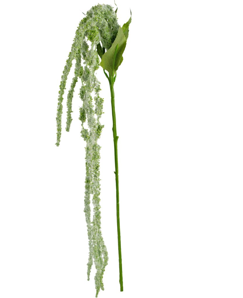 Livraison plante Amaranthus - Branche fleurie artificielle
