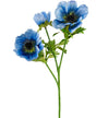 Livraison plante Anémone artificielle double bleue