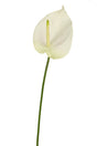 Livraison plante Anthurium artificiel blanc