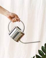 Silver watering can - Plants and <tc>Terrarium</tc>s