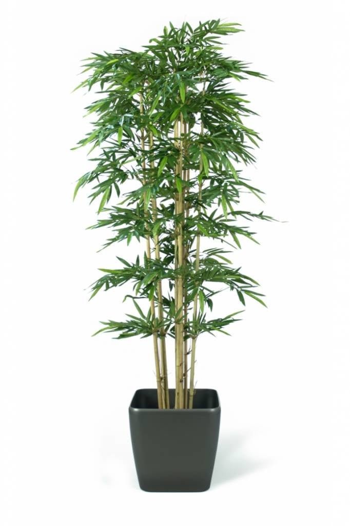 Livraison plante Bambou artificiel