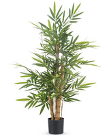 Livraison plante Bambou artificiel Bouddha