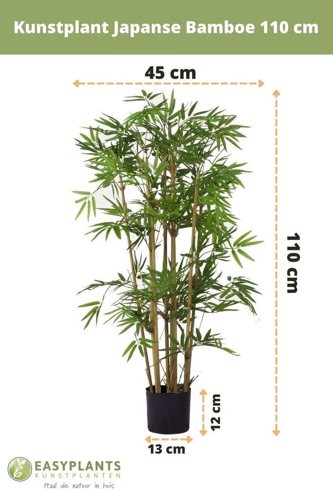 Livraison plante Bambou Japonais - Bambou artificiel
