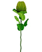 Livraison plante Banksia vert - Branche fleurie artificielle