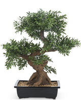 Livraison plante Bonsaï arbre - bonsai artificiel