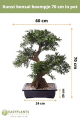Livraison plante Bonsaï arbre - bonsai artificiel