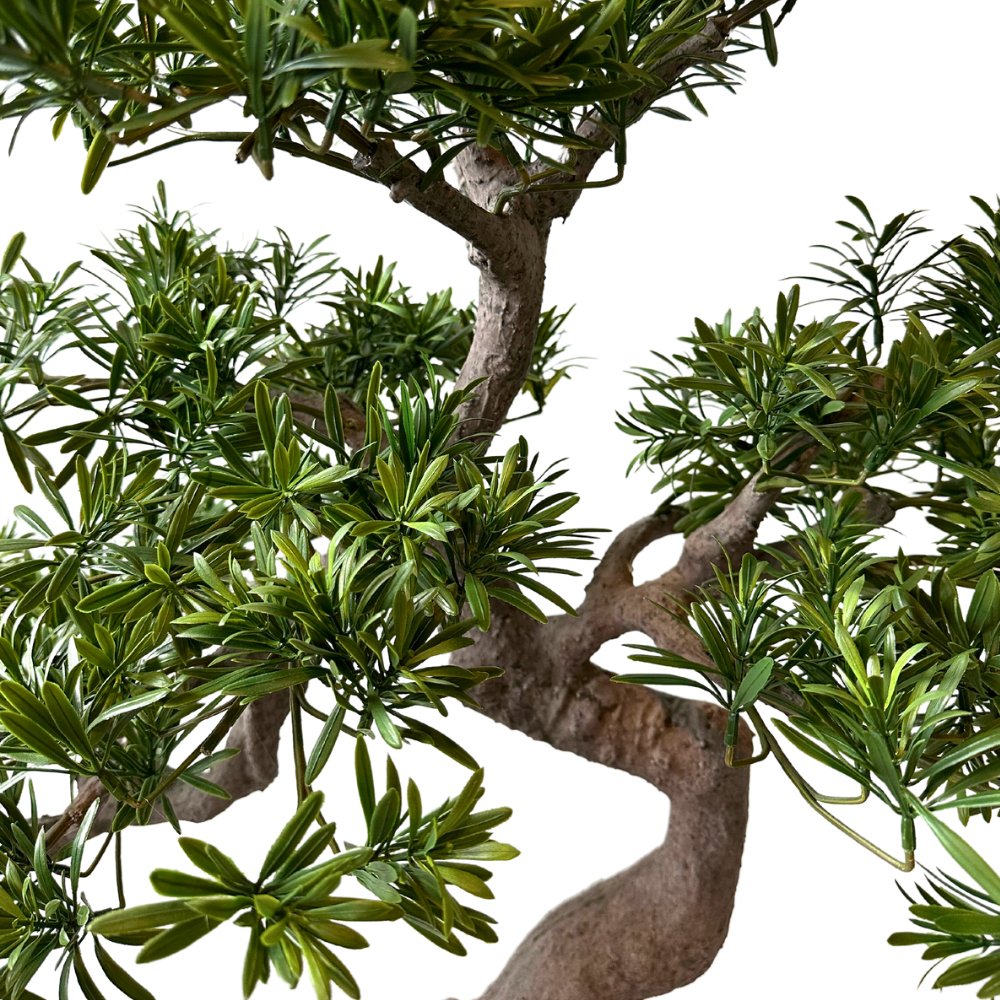 Livraison plante Bonsaï sapin - bonsaï artificiel