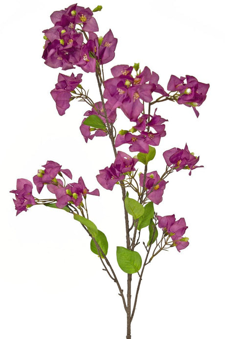 Livraison plante Bougainvillier artificiel violet