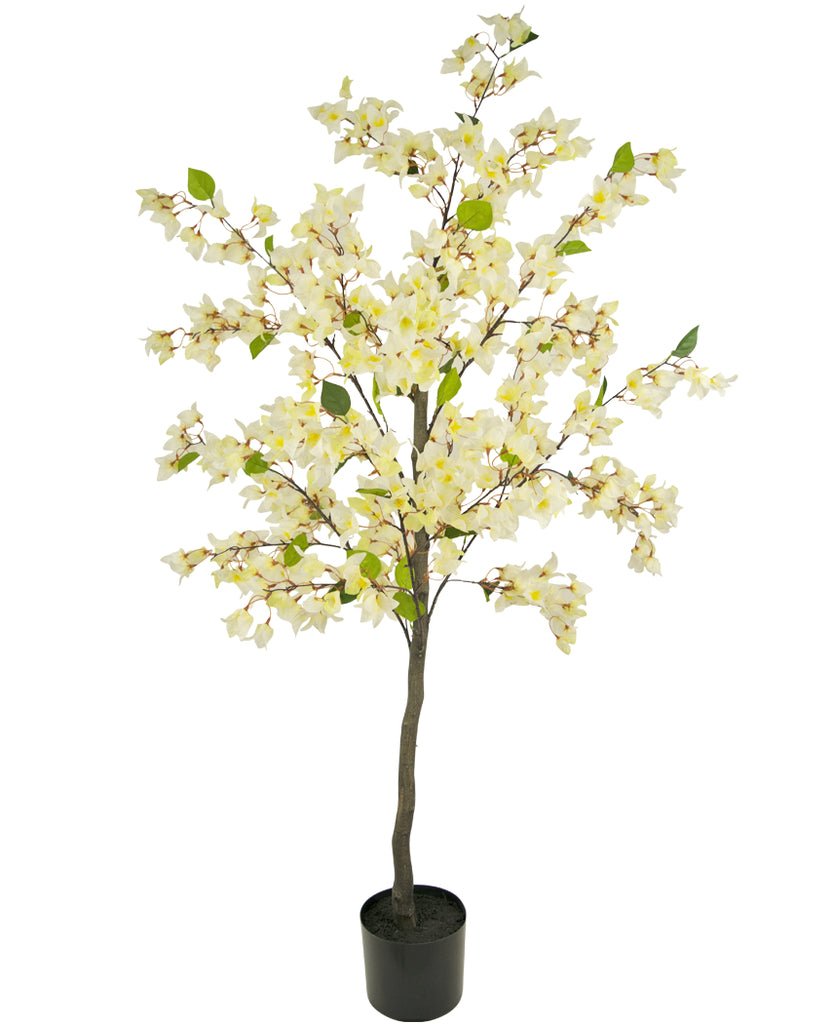 Livraison plante Bougainvillier blanc - Arbre artificiel