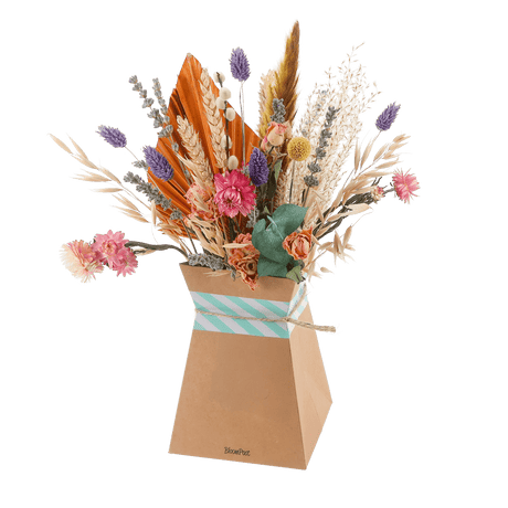 Livraison plante Bouquet de fleurs séchées pastel Dream Flow