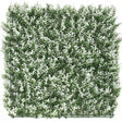 Livraison plante Buis blanc - mur végétal artificiel
