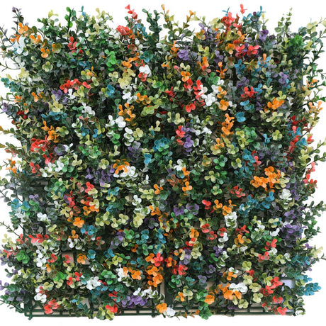 Livraison plante Buis multicolore - mur végétal artificiel