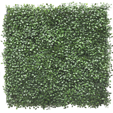 Livraison plante Buis - mur végétal artificiel