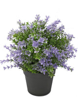 Livraison plante Buis violet en pot - Buis artificiel