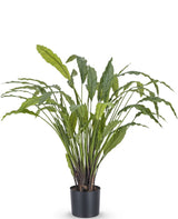 Livraison plante Calathea - grande plante artificielle