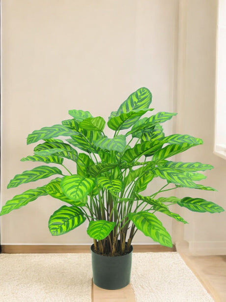 Livraison plante Calathea Makoyana - Plante verte artificielle