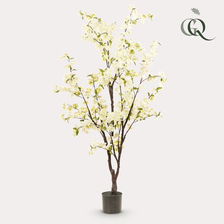 Livraison plante Cerisier artificiel blanc