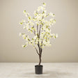 Livraison plante Cerisier artificiel blanc