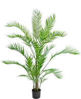 Livraison plante Chamaedorea - Palmier artificiel