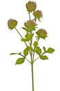 Livraison plante Chardon brun - Branche fleurie artificielle