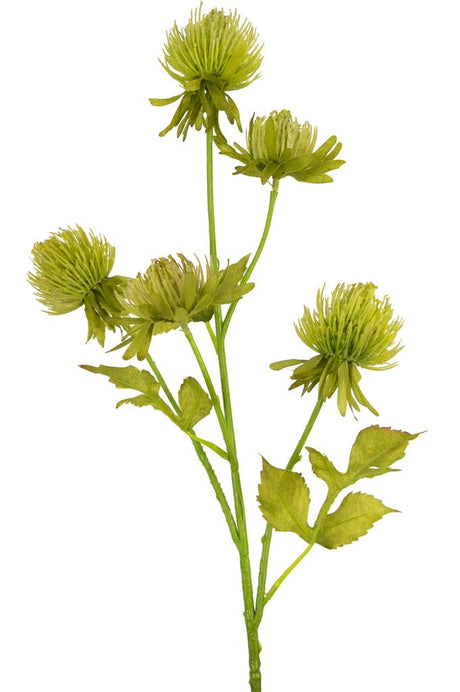 Livraison plante Chardon vert - Branche fleurie artificielle