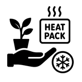 Livraison plante Chaufferette Kolibri