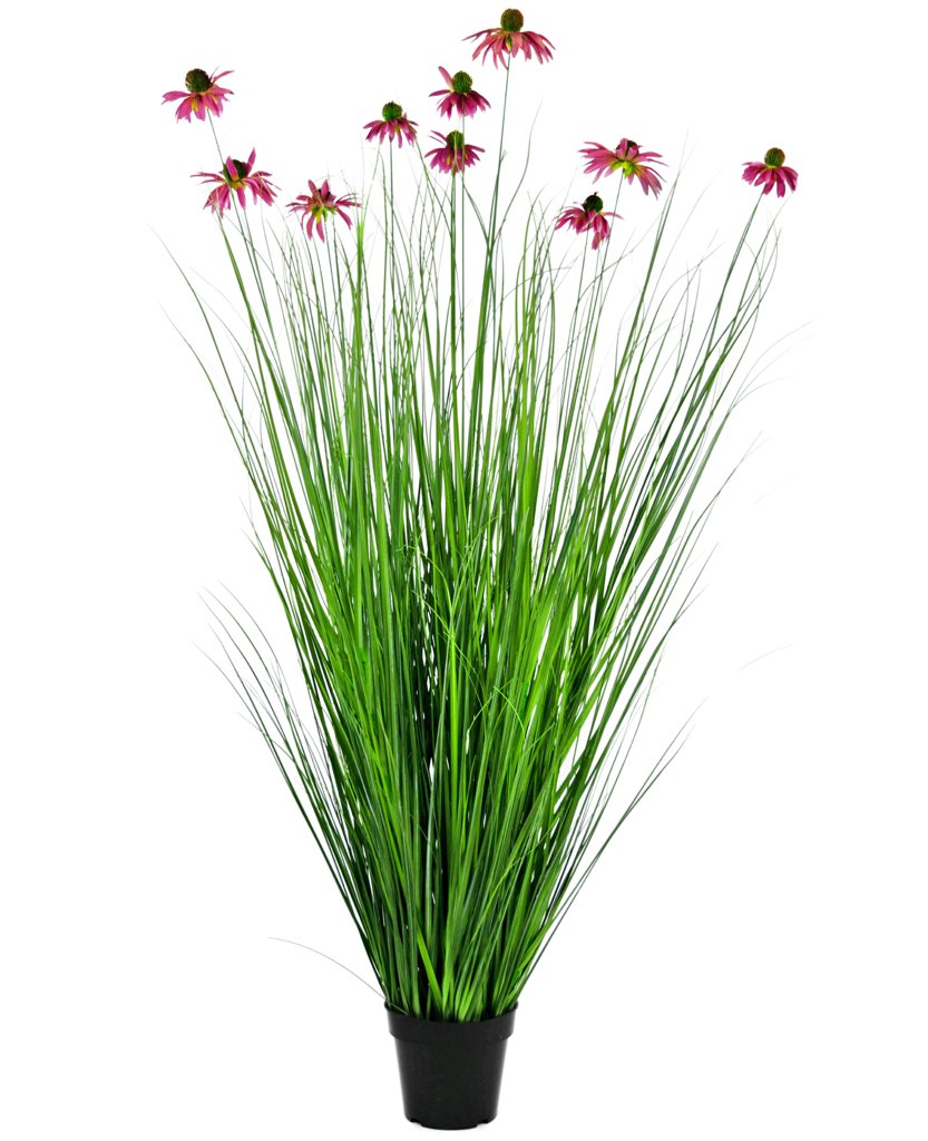 Livraison plante Chrysanthème - Graminée artificiel