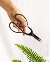 Bonsai scissors