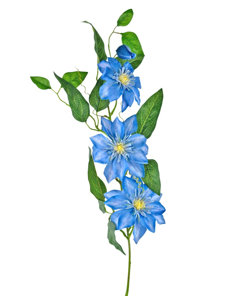 Livraison plante Clématite artificielle bleu