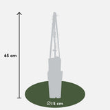 Livraison plante Clématite Jackmanii Violette