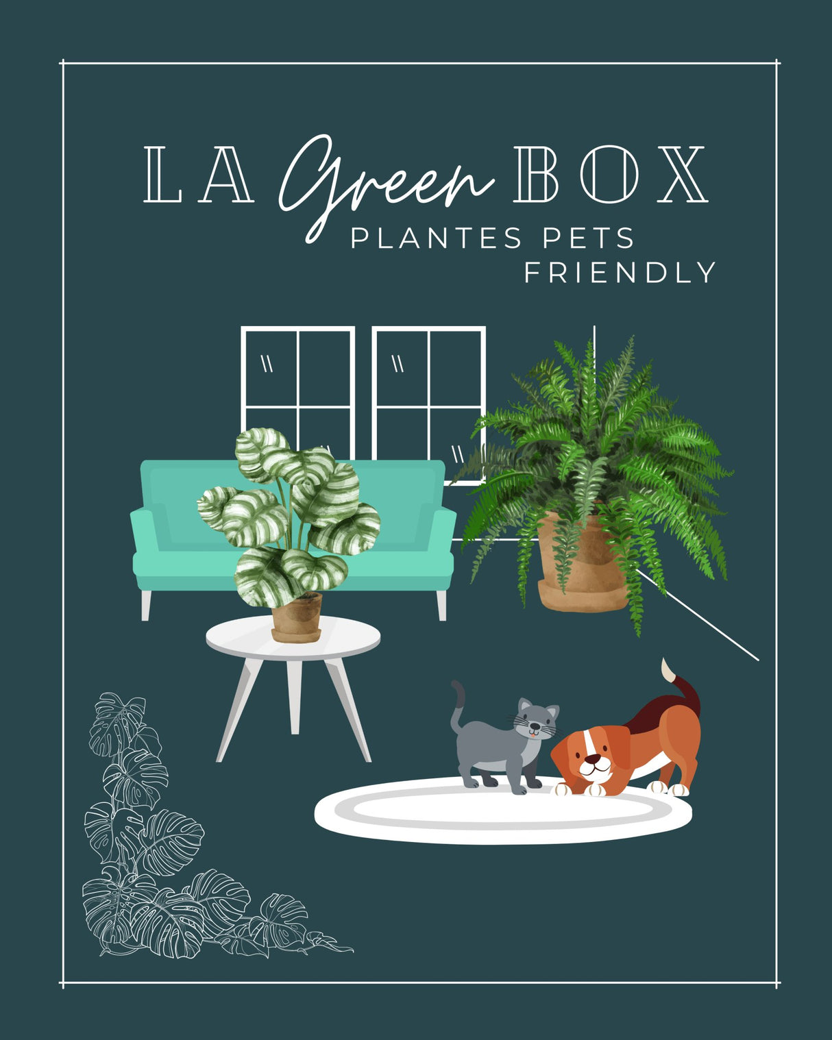 Livraison plante Coffret de Plantes Pets Friendly