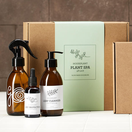 Livraison plante Coffret Plante SPA - protège et nettoie