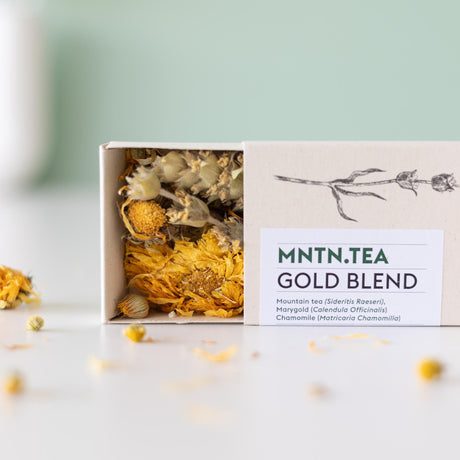 Livraison plante Coffret thé Gold Blend & mini théier à cultiver