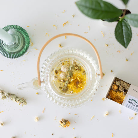 Livraison plante Coffret thé Gold Blend & mini théier à cultiver
