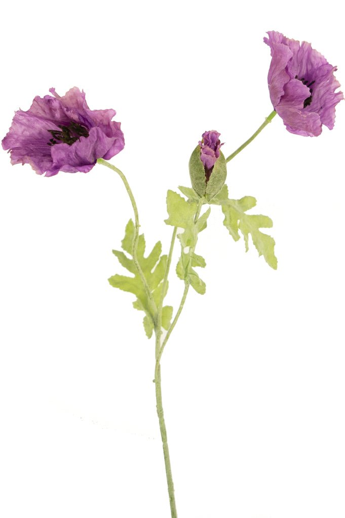 Livraison plante Coquelicot artificiel lilas