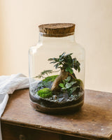 CORTICA - Terrarium L