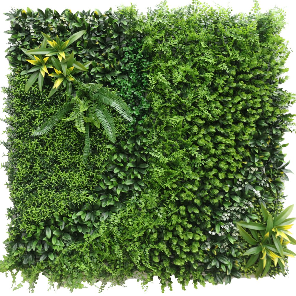 Livraison plante Crush - mur végétal artificiel