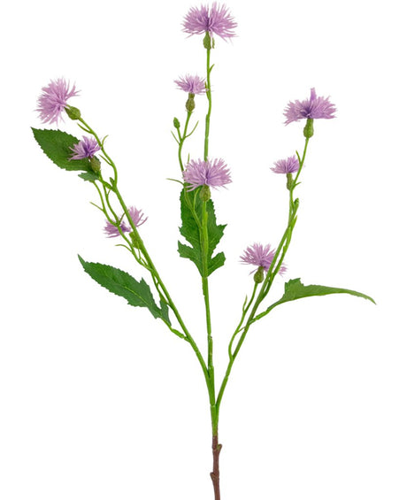 Livraison plante Daisy lila - Branche fleurie artificielle
