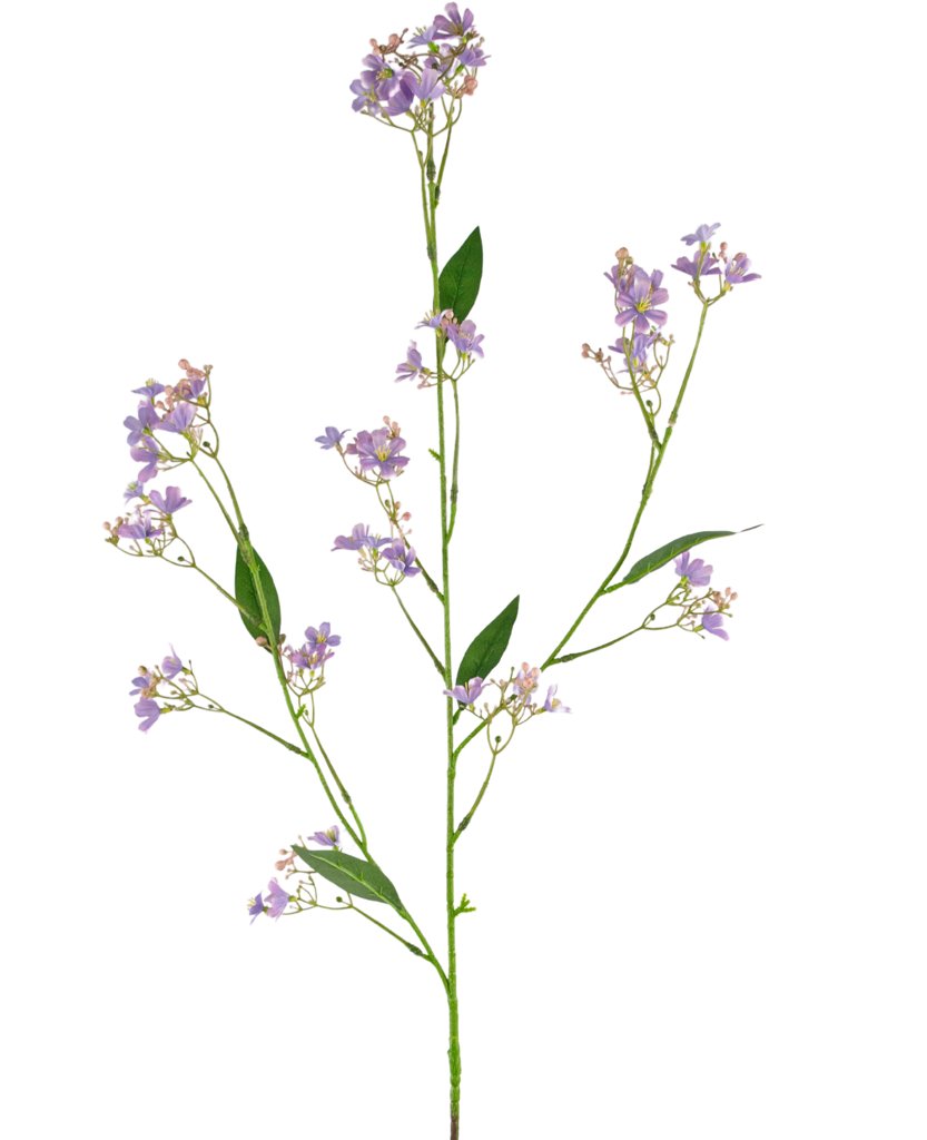 Livraison plante Daphné - Branche fleurie artificielle