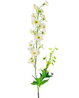 Livraison plante Delphinium artificiel blanc