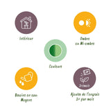 Livraison plante Diefenbachia Camilla et panier H50cm