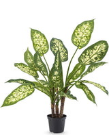 Livraison plante Dieffenbachia - Plante verte artificielle