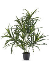 Livraison plante Dracaena Reflexa - Plante verte artificielle