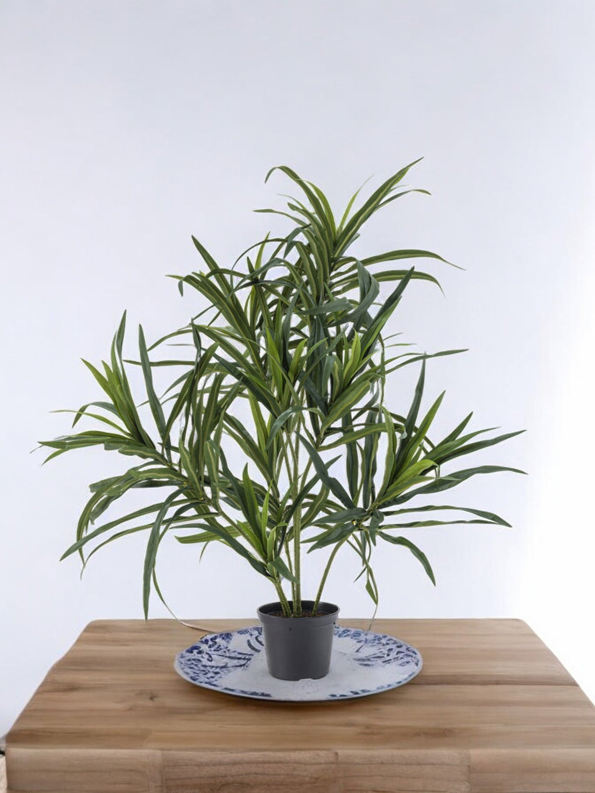 Livraison plante Dracaena Reflexa - Plante verte artificielle
