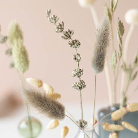 Livraison plante Dried Beauty – Bouquet de fleurs séchées