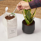 Livraison plante Engrais organique Soil Booster