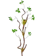 Livraison plante Enkianthus - feuillage artificiel