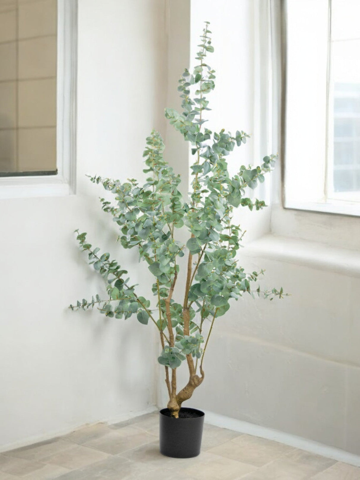 Livraison plante Eucalyptus - Arbre artificiel