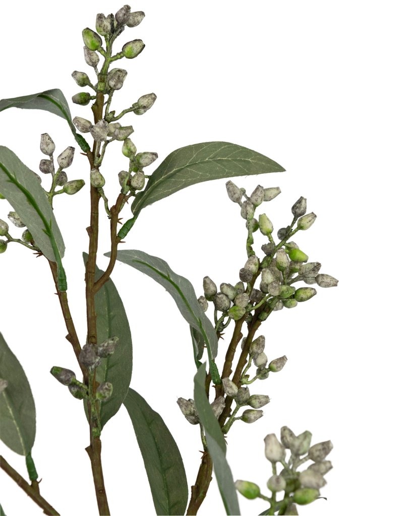 Livraison plante Eucalyptus baies grises - feuillage artificiel